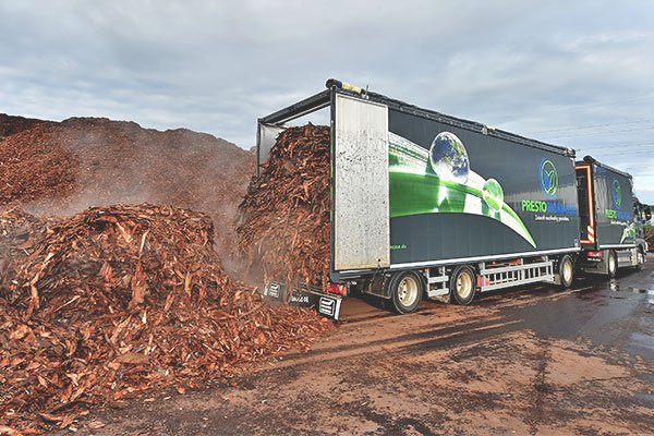 Rohrinde aus Nadelholz, Abtransport als Sägenebenprodukt