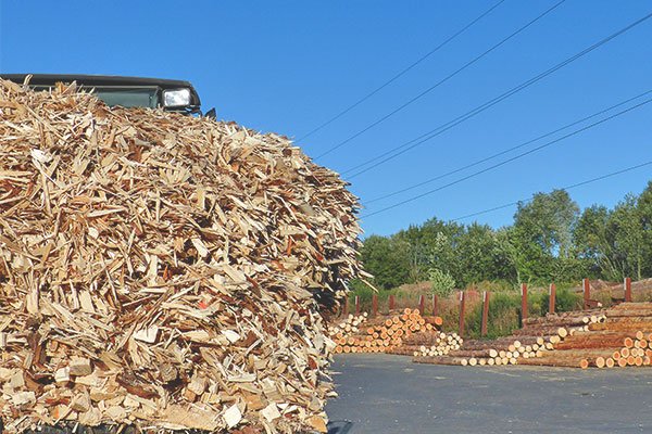 Holzspäne als Sägenebenprodukt im Sägewerk zur Vermarktung